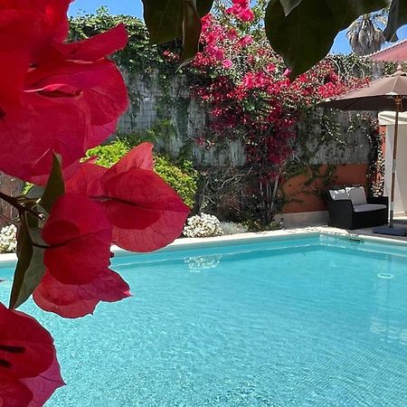 Studio With Private Swimming Pool And Garden Кашкайш Экстерьер фото